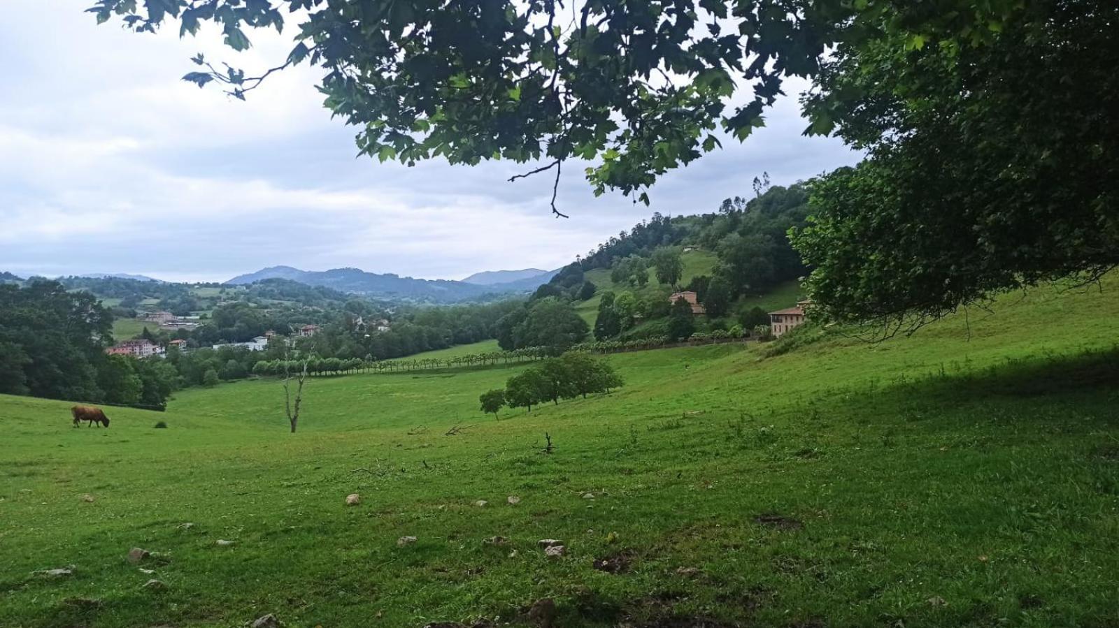 Casa Rural La Collada Sorribas  Dış mekan fotoğraf